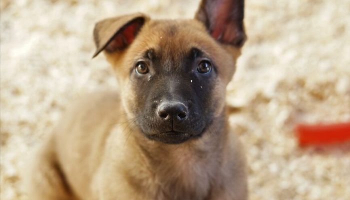 098765_optimized_300