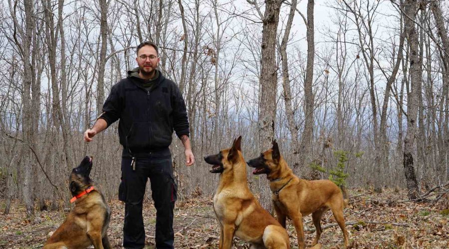trainer with dogs in the woods
